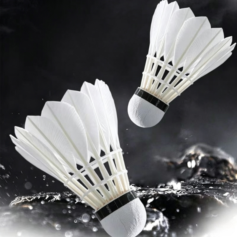 Feather Shuttlecock - Premium Goose Feather Badminton Shuttlecocks Durable