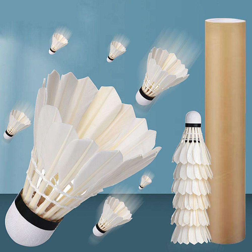 12Pcs Professional White Goose - Feather Shuttlecock review and price