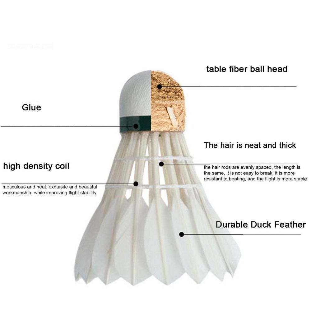 3/6/12Pcs Professional Badmint - Feather Shuttlecock review and price