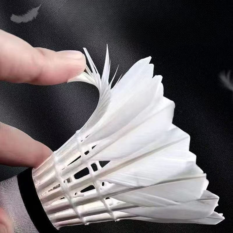 Premium Goose Feather Badminto - Feather Shuttlecock review and price
